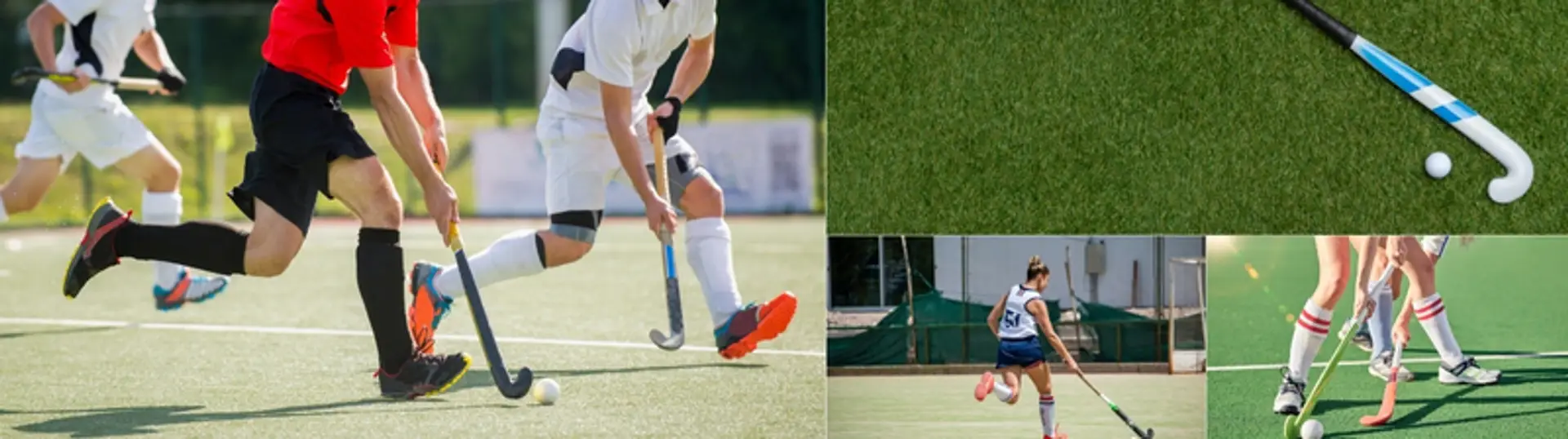 694a20441931cb4be7680721